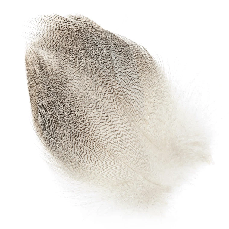 Wapsi Mallard Barred Flank Large Select Feathers & Marabou 3 Wapsi Mallard Barred Flank Large Select Feathers & Marabou