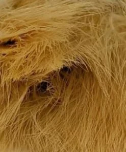 Nature's Spirit Fish Hunter Premium Strung Marabou Feathers & Marabou 82 Nature's Spirit Fish Hunter Premium Strung Marabou Feathers & Marabou