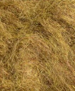 Rohmer Arizona Mega Simi Seal