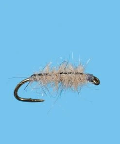 Solitude Hare Sow Bug - Light