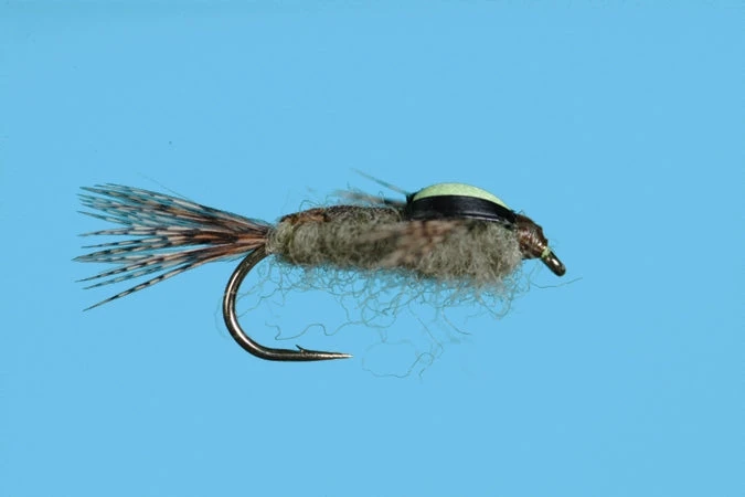 Solitude Shop Flies Split Case - Green Drake 3 Solitude Shop Flies Split Case - Green Drake