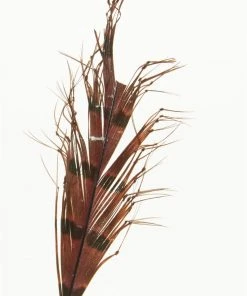 Semperfli Knotted Cranefly Legs Feathers & Marabou