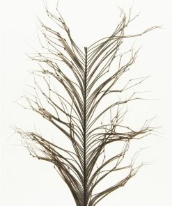 Semperfli Knotted Hopper Legs