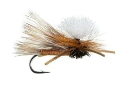 MFC Swisher's PMX - Orange