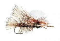 MFC Shop Flies Swisher's PMX - Peacock