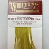 Whiting 100 Pack Dry Fly Hackle - Pale Morning Dun - 12 1 Whiting 100 Pack Dry Fly Hackle - Pale Morning Dun - 12