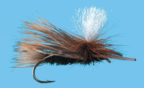 Solitude Para. X - Peacock Body 3 Solitude Para. X - Peacock Body