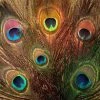 Nature's Spirit Peacock Eye Sticks Feathers & Marabou