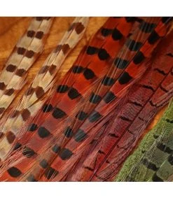 Hareline Feathers & Marabou UV2 Ringneck Pheasant Tail