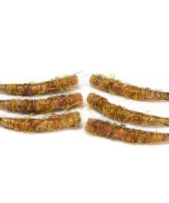 Rainy's Tube Bodiz, Stonefly