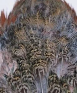 Nature's Spirit Feathers & Marabou Fish Hunter Ringneck Pheasant Rump Patch