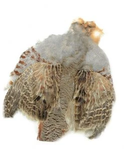 Nature's Spirit Select Partridge Skin, Natural Hackle