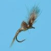 Solitude Shop Flies Morris May Emerger - PMD 1 Solitude Shop Flies Morris May Emerger - PMD