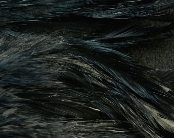 Nature's Spirit Hackle Fish Hunter Select Schlappen 4 Nature's Spirit Hackle Fish Hunter Select Schlappen