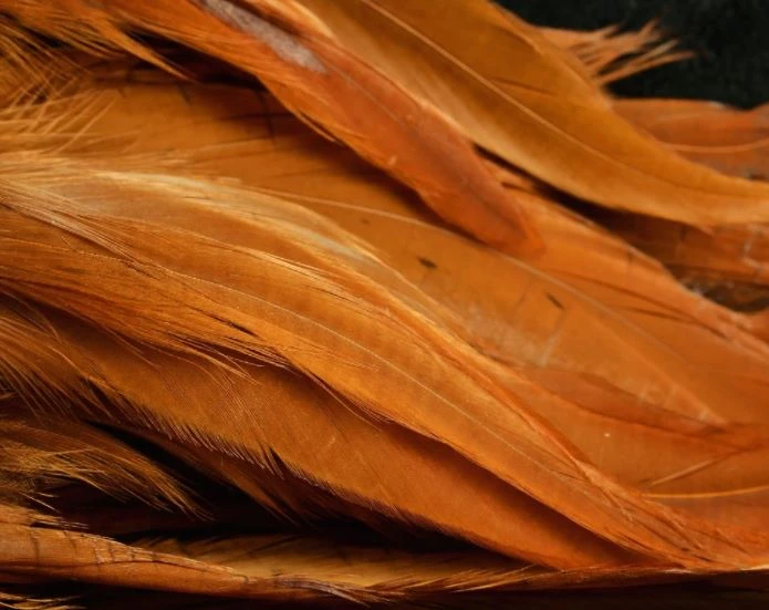 Nature's Spirit Hackle Fish Hunter Select Schlappen 7 Nature's Spirit Hackle Fish Hunter Select Schlappen