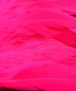 Nature's Spirit Hackle Fish Hunter Select Schlappen 53 Nature's Spirit Hackle Fish Hunter Select Schlappen