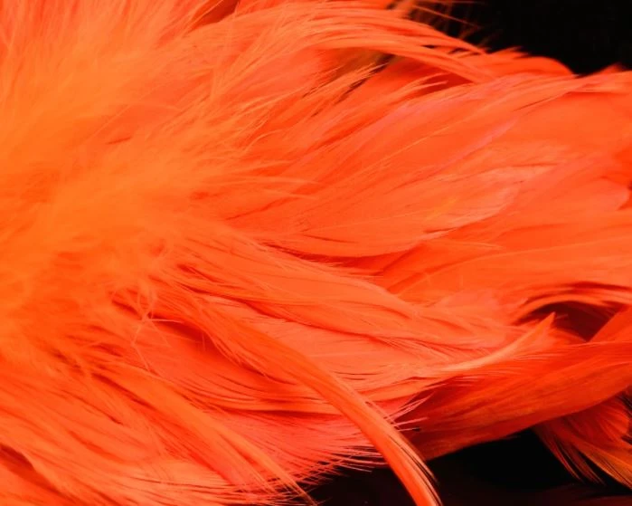 Nature's Spirit Hackle Fish Hunter Select Schlappen 17 Nature's Spirit Hackle Fish Hunter Select Schlappen