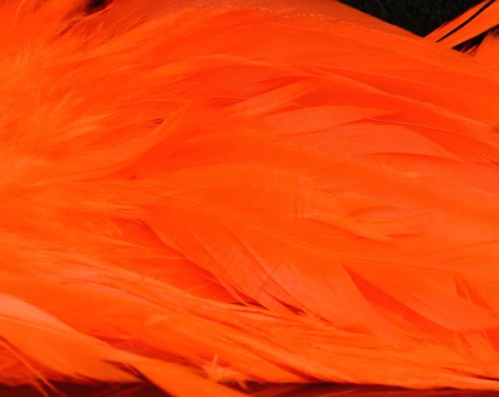 Nature's Spirit Hackle Fish Hunter Select Schlappen 23 Nature's Spirit Hackle Fish Hunter Select Schlappen