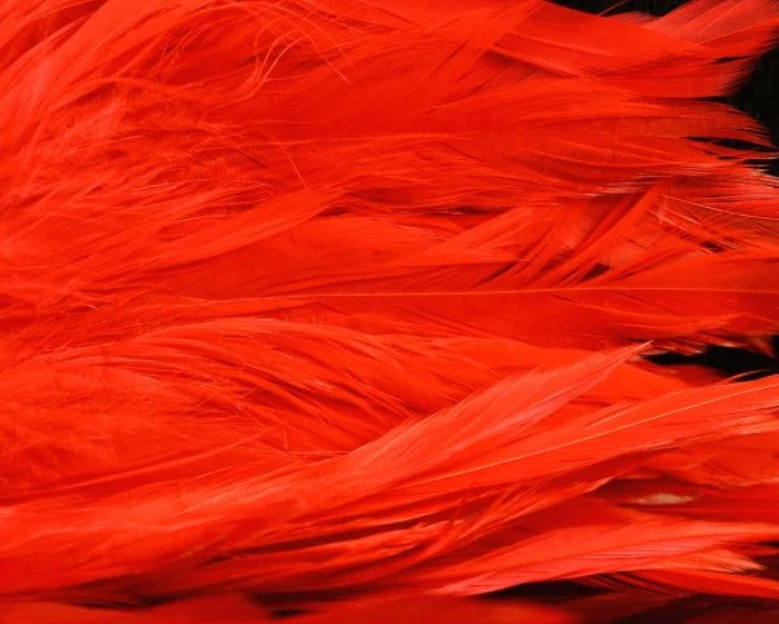 Nature's Spirit Hackle Fish Hunter Select Schlappen 24 Nature's Spirit Hackle Fish Hunter Select Schlappen