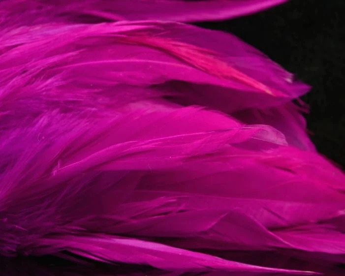 Nature's Spirit Hackle Fish Hunter Select Schlappen 37 Nature's Spirit Hackle Fish Hunter Select Schlappen