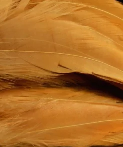 Nature's Spirit Hackle Fish Hunter Select Schlappen 72 Nature's Spirit Hackle Fish Hunter Select Schlappen