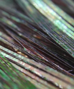 Nature's Spirit Synthetic Fibers & Flash Perdigonmania Iridescent Strips 15 Nature's Spirit Synthetic Fibers & Flash Perdigonmania Iridescent Strips