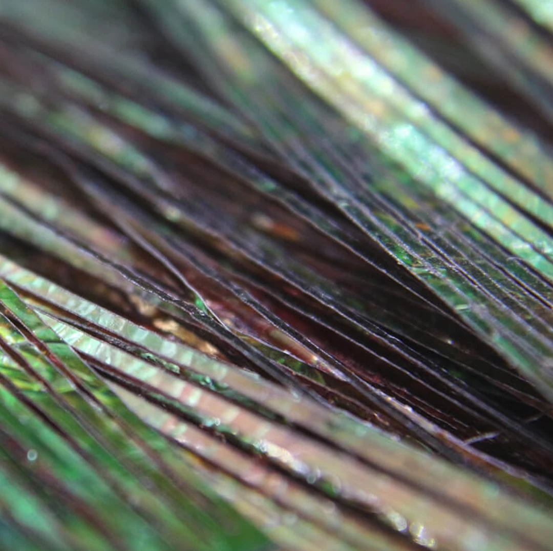 Nature's Spirit Synthetic Fibers & Flash Perdigonmania Iridescent Strips 5 Nature's Spirit Synthetic Fibers & Flash Perdigonmania Iridescent Strips