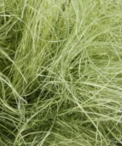 Semperfli SemperSeal Substitute Dubbing