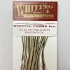 Whiting 100 Pack Dry Fly Hackle - Silver Badger - 12 1 Whiting 100 Pack Dry Fly Hackle - Silver Badger - 12