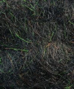 Rohmer Dubbing Arizona Simi Seal