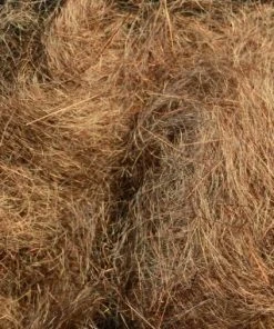 Rohmer Dubbing Arizona Simi Seal