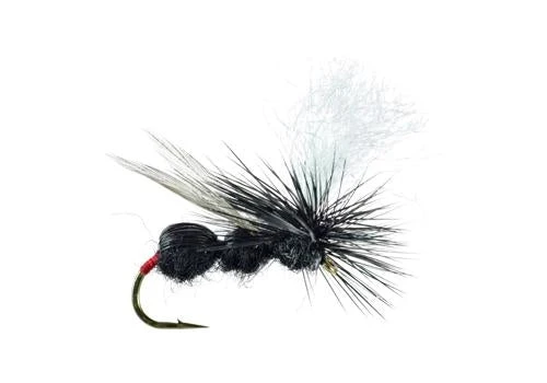 Umpqua Deer Hair Ant 3 Umpqua Deer Hair Ant