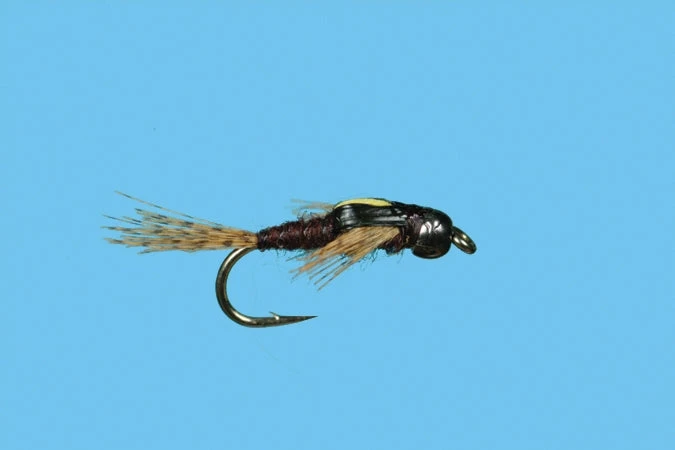 Solitude Tungsten Split Case Nymph - PMD 3 Solitude Tungsten Split Case Nymph - PMD