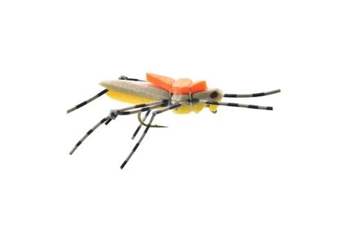 Umpqua Morrish Hopper - Golden Shop Flies 3 Umpqua Morrish Hopper - Golden Shop Flies