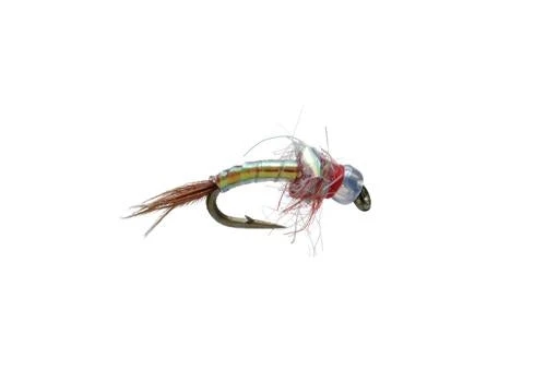 Umpqua Egan's Rainbow Warrior - Red Shop Flies 3 Umpqua Egan's Rainbow Warrior - Red Shop Flies