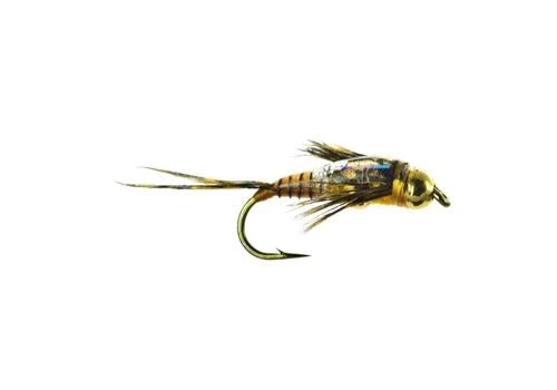 Umpqua Craven's Two Bit Stone - Golden 3 Umpqua Craven's Two Bit Stone - Golden