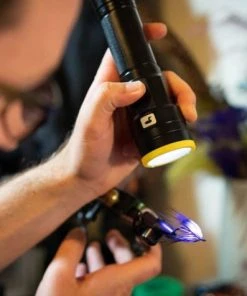 Loon UV Plasma Light