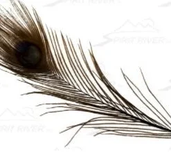 Spirit River Dyed Peacock Eyes Feathers & Marabou
