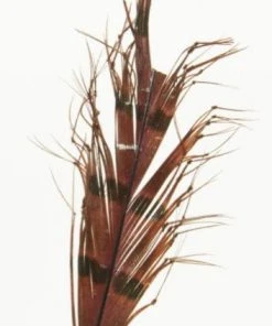 Semperfli Knotted Hopper Legs