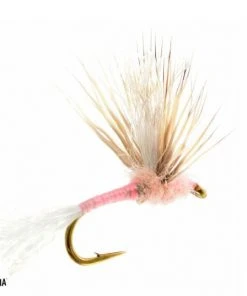 Umpqua Shop Flies Improved Sparkle Dun Pink Lady