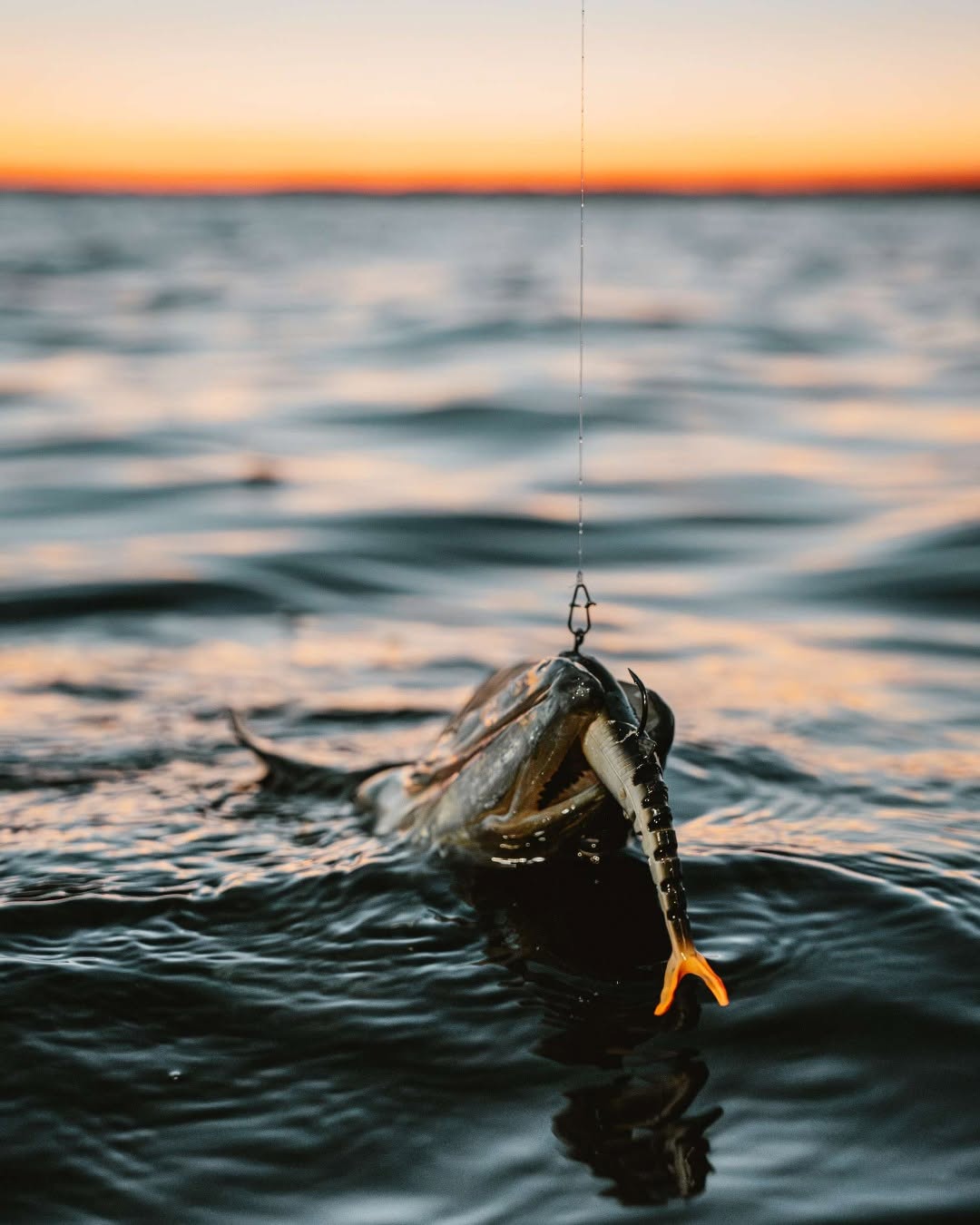 Fly Fish Store -Fly Fish Store 515281131 1159715592852931 3317910478001939181 n